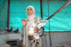 self employed Palestinian women photos